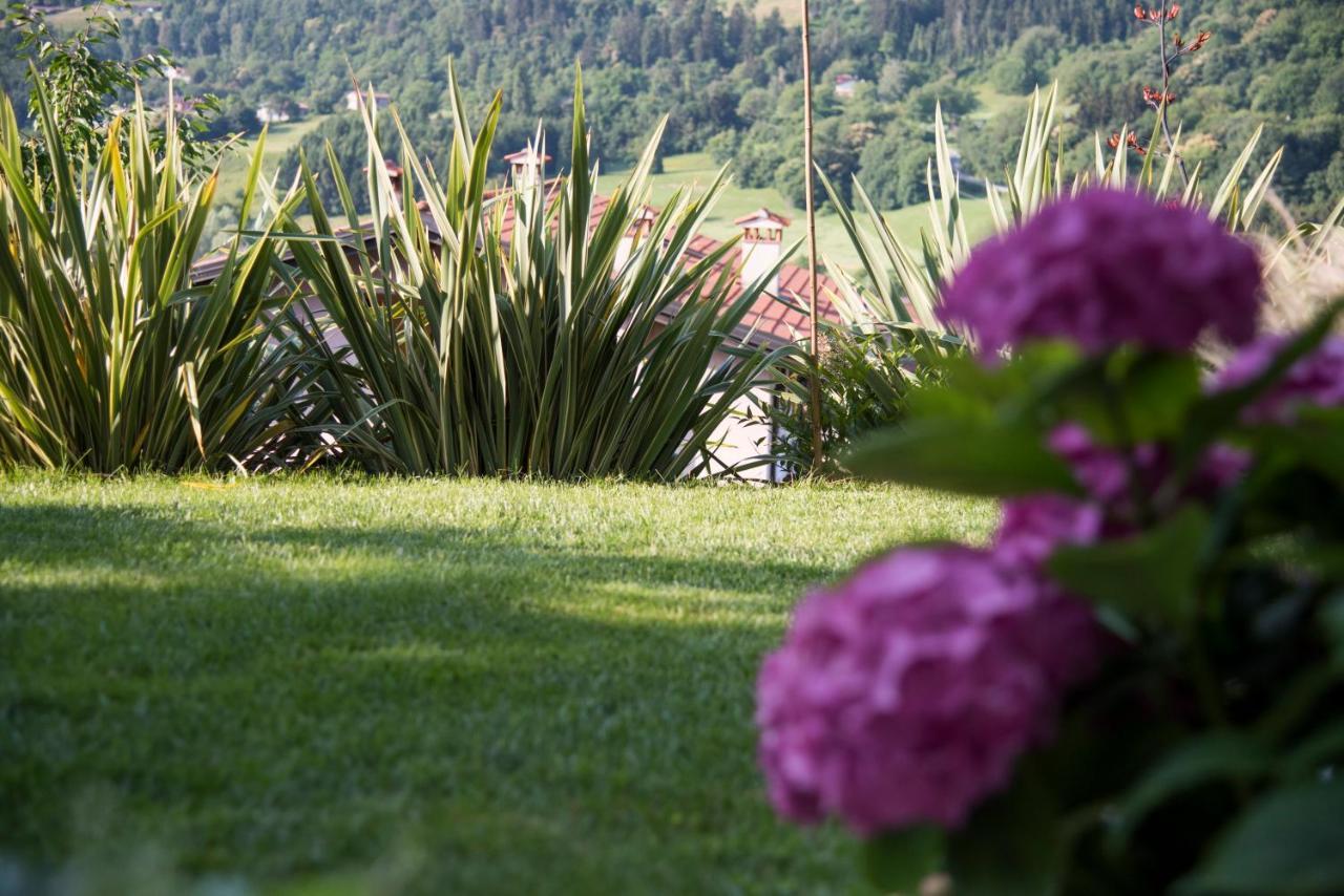 Vila La Casa Di Emy Solto Collina Exteriér fotografie
